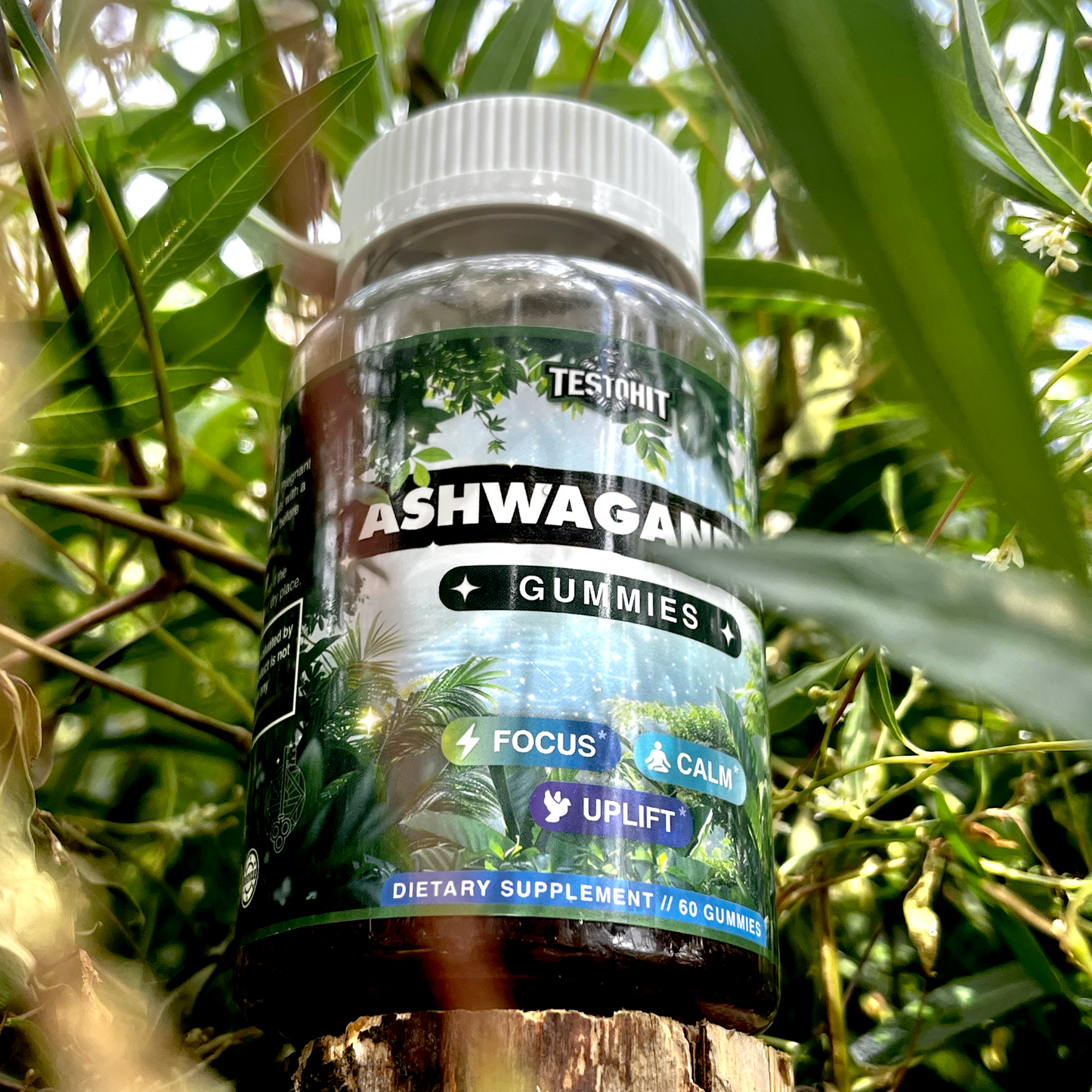 Ašvaganda – Ashwagandha – stressi kontrolliks, rahulikuks igapäevaks, keskendumiseks ja tööks