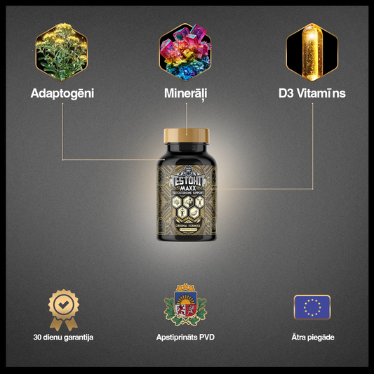 TESTOHIT MAXX – TESTOSTERONUI IR ILGALAIKIAM SVEIKATOS PAGERĖJIMUI