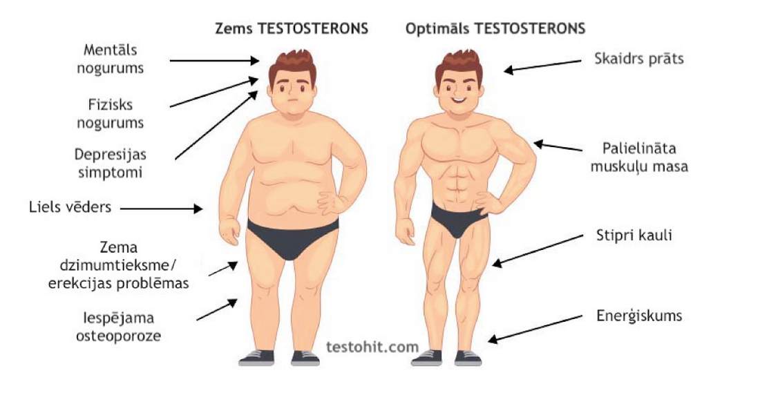 Pārbaudītas metodes, ko darīt, ja Tev ir zems testosterons