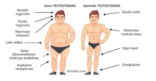 Pārbaudītas metodes, ko darīt, ja Tev ir zems testosterons