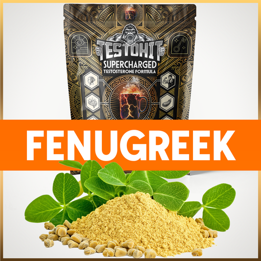 FENUGREEK – SUPERCHARGED – Ožragės sėklos – Stiprių vyrų kasdienybei ir aukštam testosterono lygiui