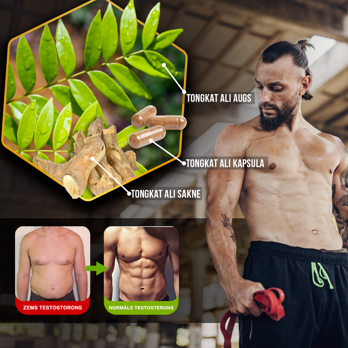 VYRŲ SVEIKATOS MEGA RINKINYS – JUODOJO PENKTADIENIO PASIŪLYMAS